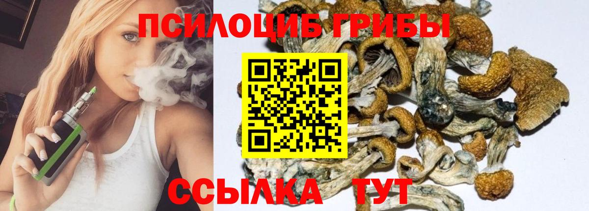 Псилоцибиновые грибы Magic Shrooms  Вход с VPN  купить наркотик  Калач-на-Дону  Галлюциногенные грибы Psilocybine cubensis 
